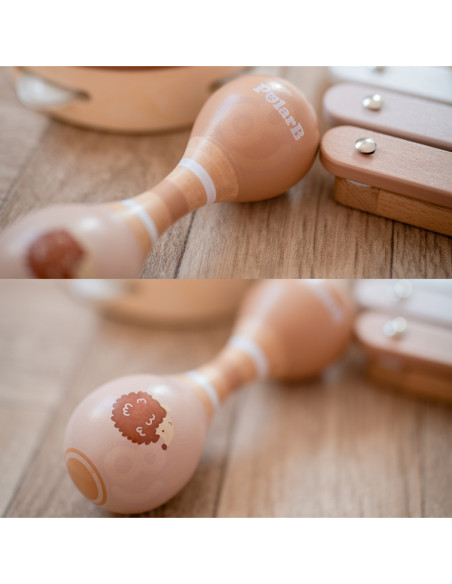 VIGA PolarB Zestaw Instrumentów Muzycznych Z Ptaszkiem