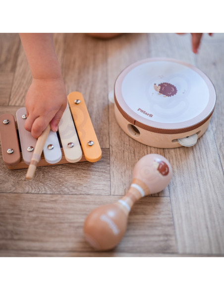 VIGA PolarB Zestaw Instrumentów Muzycznych Z Ptaszkiem