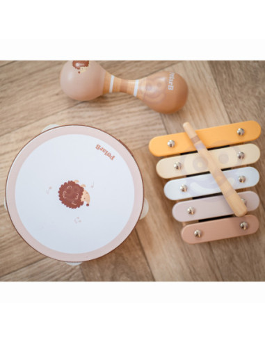 VIGA PolarB Zestaw Instrumentów Muzycznych Z Ptaszkiem