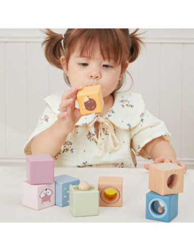 VIGA Drewniane Klocki Sensoryczne PolarB