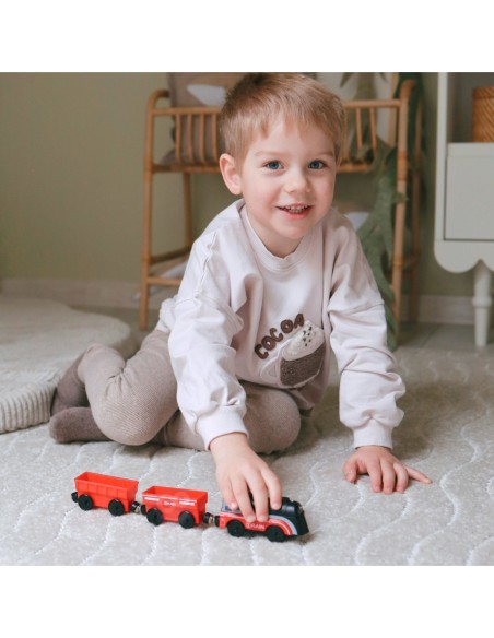 WOOPIE Zestaw Elektryczna Kolejka Farma Zwierzęta 70 Elementów