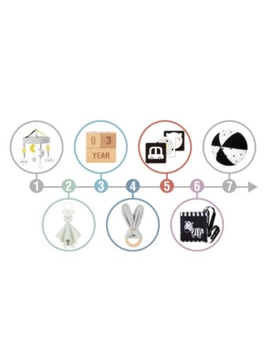 WOOPIE GREEN Pudełko XXL Montessori Sensoryka i Edukacja 7w1