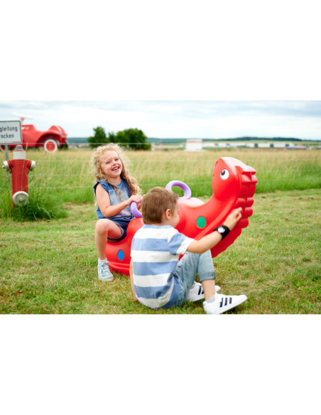 Bg Bujak Sammy Rocker wieloosobowy