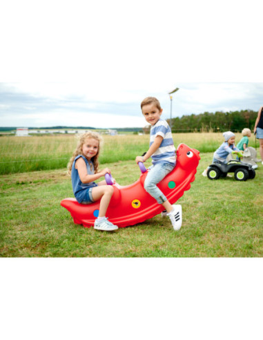 Bg Bujak Sammy Rocker wieloosobowy