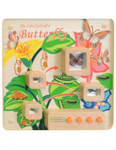 MASTERKIDZ Butterfly Life Cycle Educational Wall Board