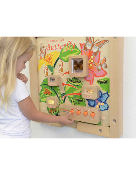 Cykl Życia Motylka Tablica Edukacyjna Masterkidz