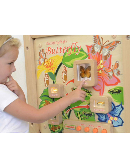 Cykl Życia Motylka Tablica Edukacyjna Masterkidz