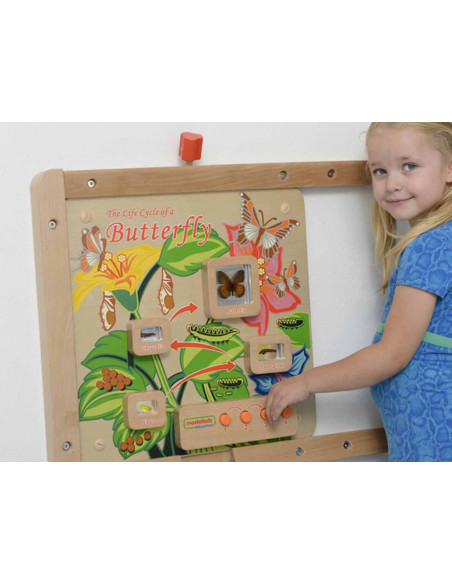 Cykl Życia Motylka Tablica Edukacyjna Masterkidz