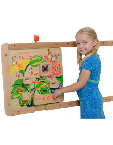 Cykl Życia Motylka Tablica Edukacyjna Masterkidz