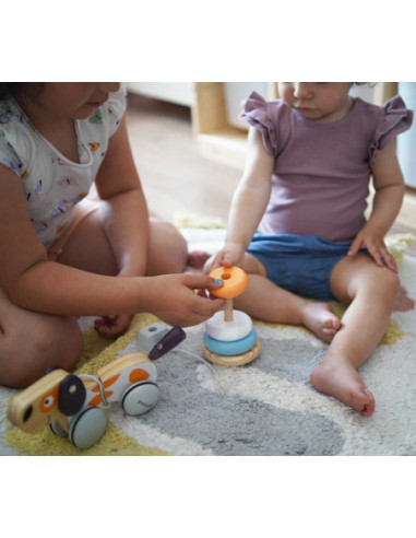 Edukacyjna Zabawka Drewniana Viga Piramidka