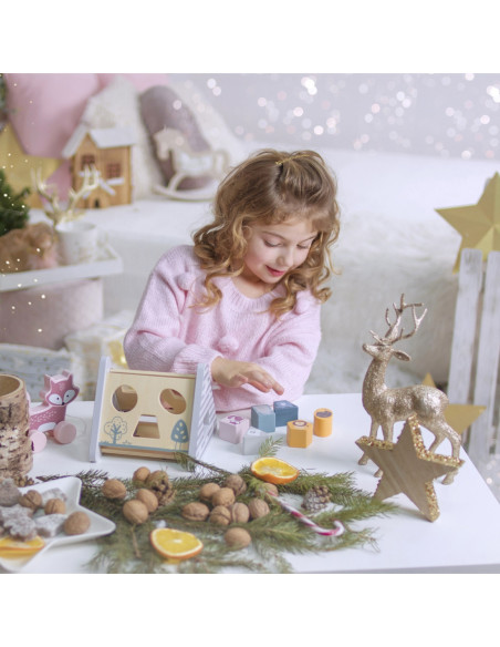 Drewniana piramidka edukacyjna - Sorter - VIGA - PolarB