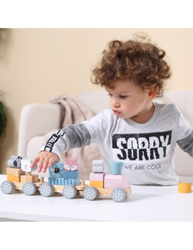 Kolorowa Kolejka Viga Toys