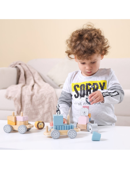 Kolorowa Kolejka Viga Toys