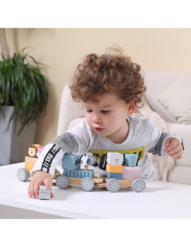 Kolorowa Kolejka Viga Toys