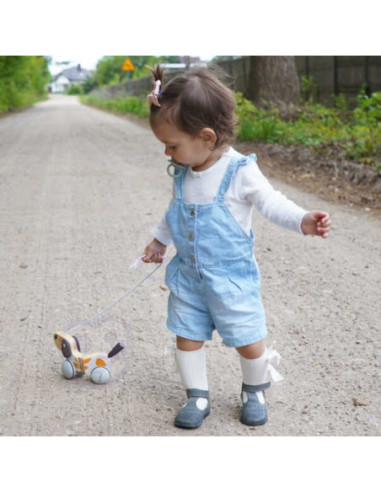 Viga PolarB Drewniany Piesek do Ciągnięcia