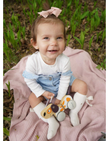 Viga PolarB Drewniany Piesek do Ciągnięcia