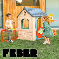 Feber